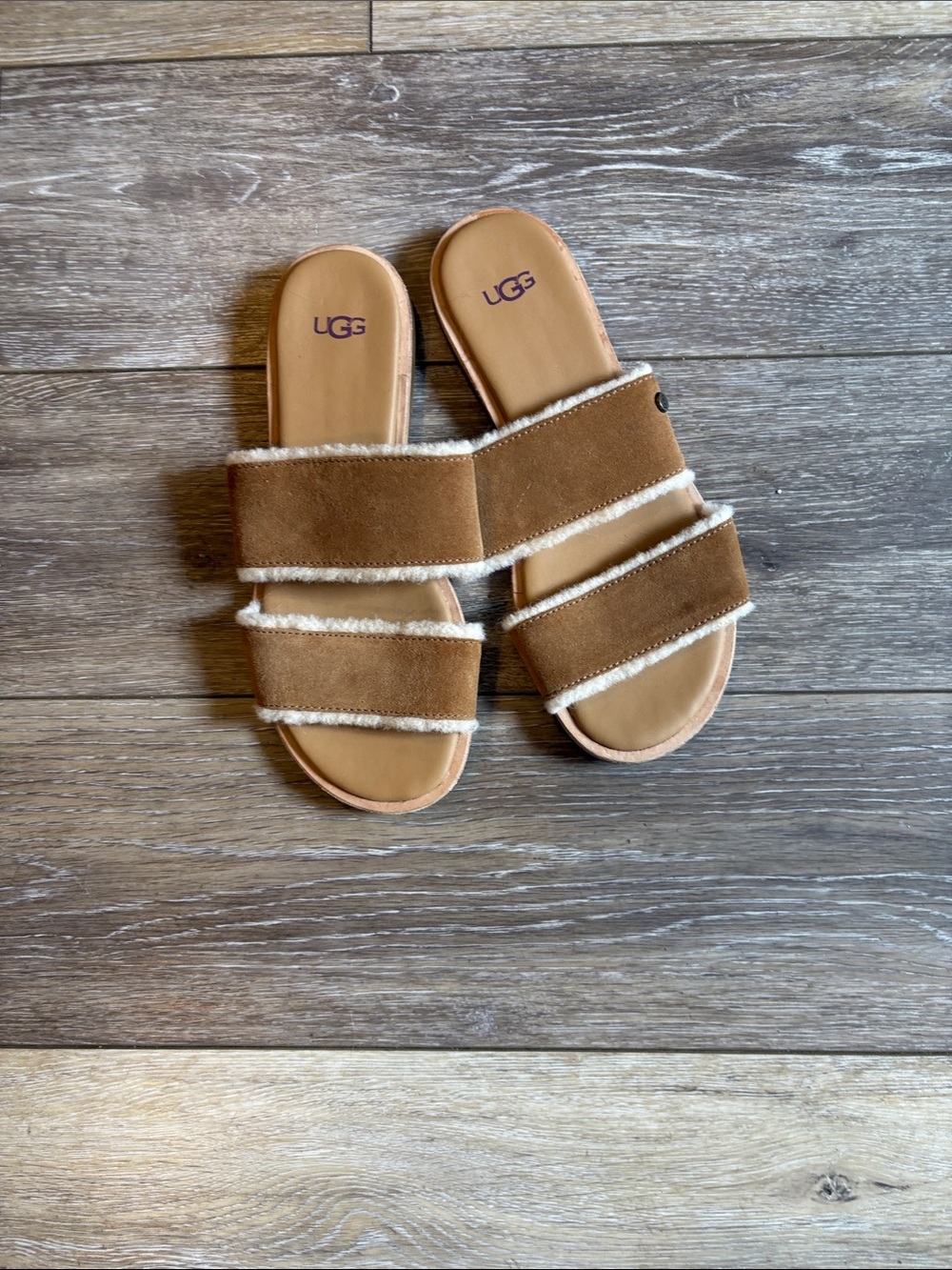 UGG Women’s Chestnut Suede Slide Sandals with Shearling Trim